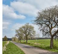 18.01.2026 Sonntag - 09:00 Uhr Teilnahme an der Winterwanderung des Eifelvereins Antweiler. Es werden zwei verschiedene Strecken angeboten. Abschluss in der Vereinshütte. Der Vorstand MÄRZ 15.03.2026 Sonntag - 13:00 Uhr Eröffnung der Wandersaison 2026 mit einer Winterwanderung im Mürel. Heinrich Bertram 7 km oder 10 Image