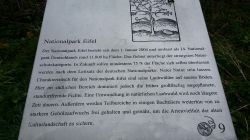 02 20170504 135029 Resized