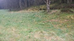 05 20170504 115400 Resized