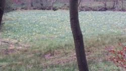 07 20170504 113057 Resized