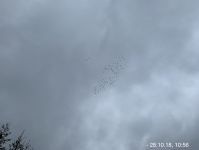 IMG_8908