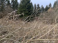 IMG_9992
