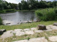 IMG 187A 20200709 115139