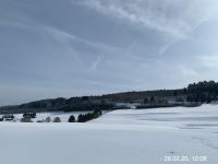 IMG 8331