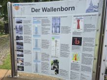 9.Wallenborn Resized 1