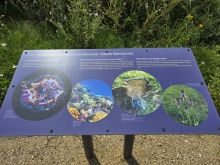 20240815 150042 Resized 1