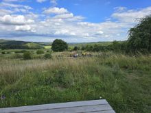 20240815 150200 Resized 1