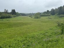 IMG 5273 Blick Auf Haubachtal Bunte Blumenpracht