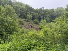 IMG 5306 Alter Ehemaliger Steinbruch