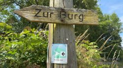 03  TC 00433 TestWanderung Am 15